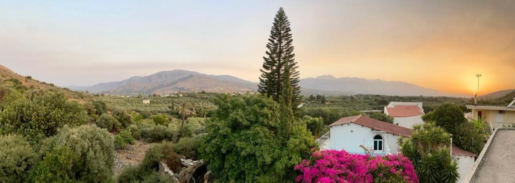 Apartment Crete Joy *