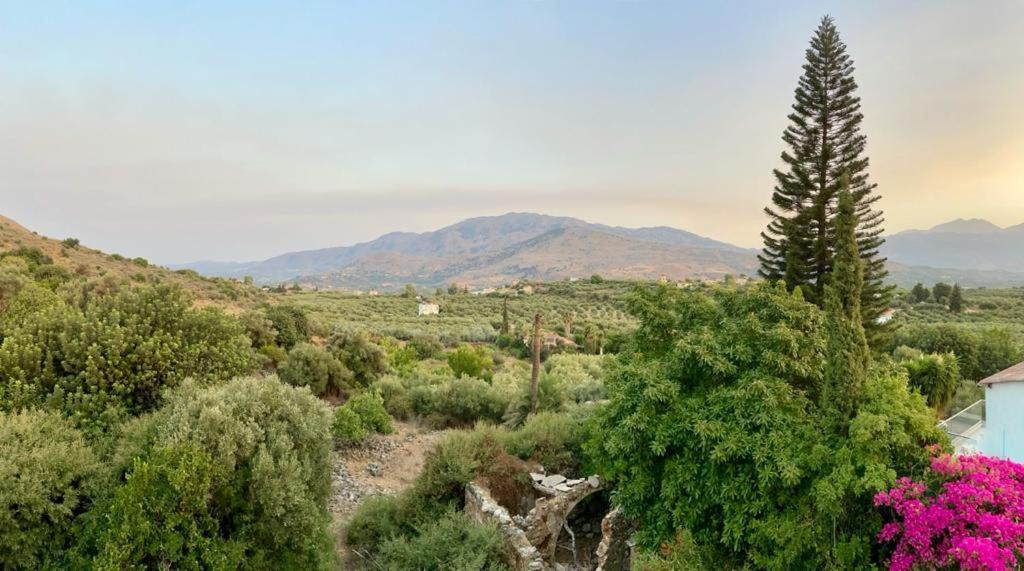Апартаменты Crete Joy